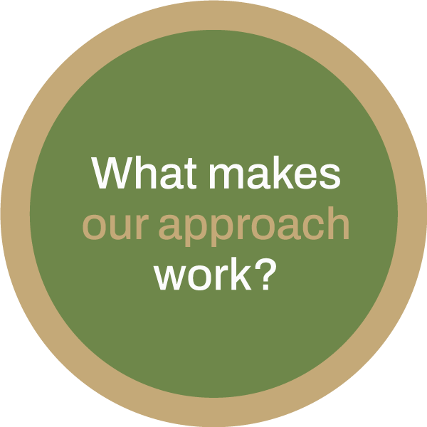 What makes Our Approach Work Icon?